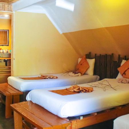 卡萨内 大象小径背包客旅馆酒店 外观 照片
