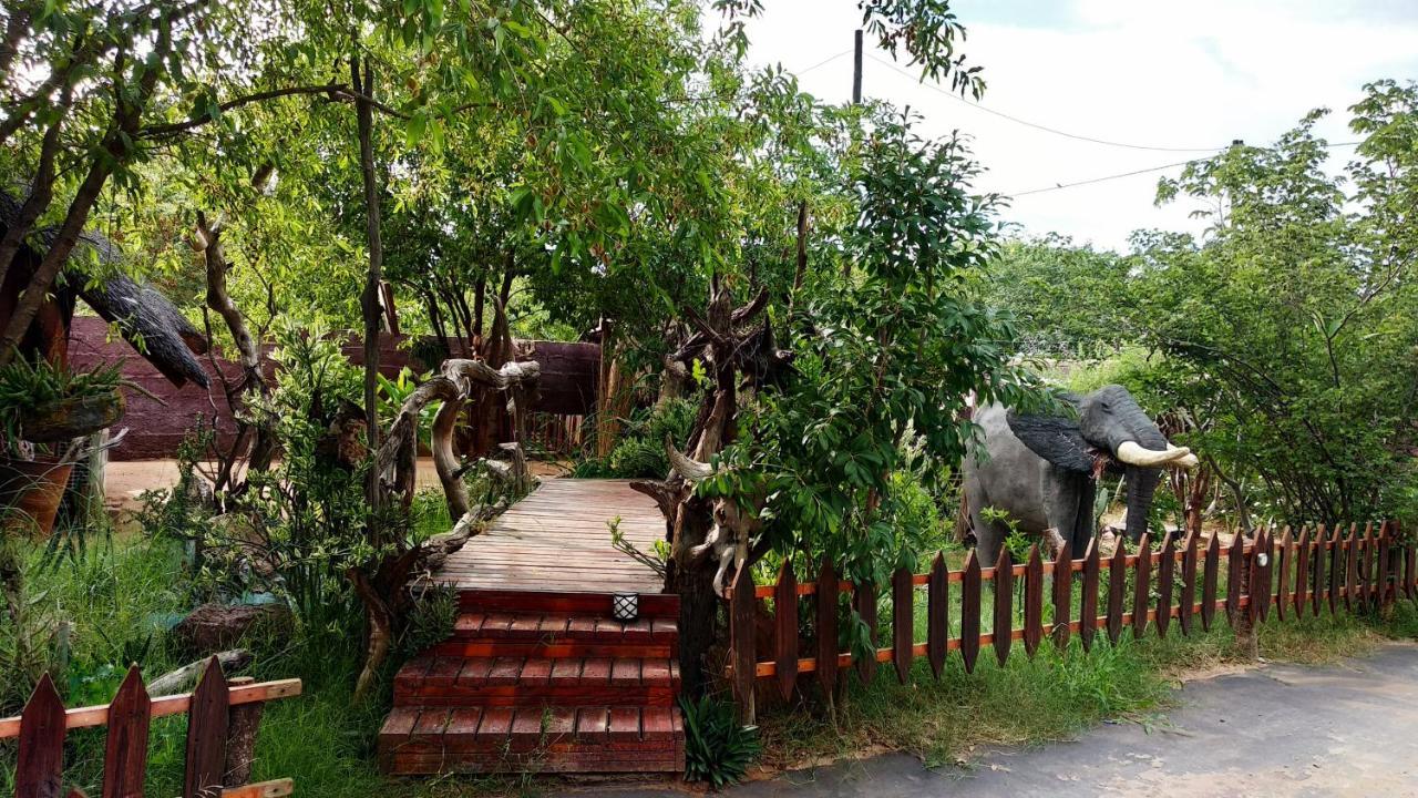 卡萨内 大象小径背包客旅馆酒店 外观 照片