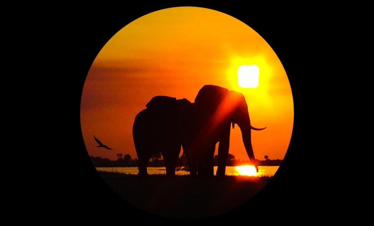 卡萨内 大象小径背包客旅馆酒店 外观 照片